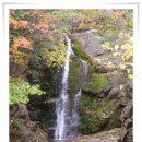 유석농장 이미지