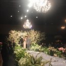 다이너스티 웨딩뷔페 이미지