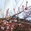 연당1리마을회관 이미지