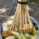 강변의 숲속 이미지