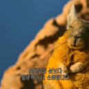 핌트 이미지