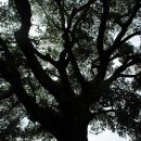 상무초교 이미지