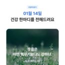 닥터모두모 - 23889 | 닥터모두모