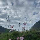 장태산 힐링타임 이미지