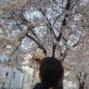 건어물꾼 이미지