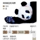 주)비사벌 이미지