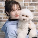 더 귀엽개 이미지