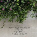 상대도안아이파크공인중개사사무소 이미지
