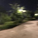 빽다방파주운정산내점