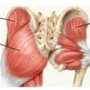 비타민휘트니스 13호점 이미지