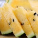 애플수박 망고수박 씨앗 이미지