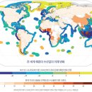 '기후조절자' 해양을 최초로 다루다 : 해양 및 빙권 특별보고서 이미지