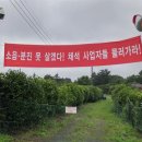 석산개발 이미지