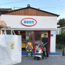 도도애견샵 | 근대화거리 가볼만한곳 애견동반 당일치기 여행 코스...샵, 이성당 빵 추천, 기념품, 도도하라 즉석사진관