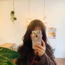세렌디 컴퍼니