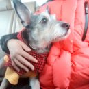 명진동물병원 이미지