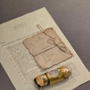 스테이바누 이미지