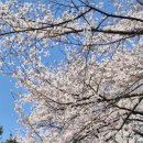 강촌공원 이미지