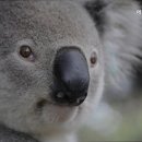 에덴동물병원 이미지