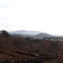 들레목장 이미지