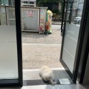벨르미용실