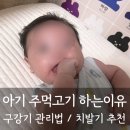 아기 주먹고기하는 이유와 시기 구강기 관리법 치발기 추천(메디토이, 올리앤캐롤 사용후기)