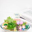 봉덕초교 병설유치원 이미지