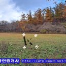 수림 가득한 산자락 아래 편안한 토지 4,061㎡(1,230평) 5억원 이미지