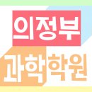 식물들의 소통 이미지