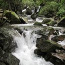 엄마네펜션 이미지