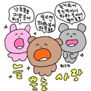 필리가 캠핑 이미지