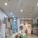 시그니아 독일보청기 하남센터 | 시그니아 독일보청기 남양주센터 방문 후기 남양주 보청기 관리받고 온 이야기