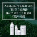 시크릿타임 네이버블로그