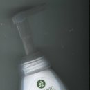 USA ORGANIC FOAMING HAND WASH 유기농 배&무화과 포밍 핸드워시 이미지