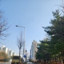 권선구보건소 | 01 임신준비. 임신 사전건강관리 지원 신청 후기+수원 에덴메디여성병원 +권선구 보건소