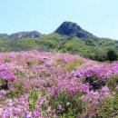 명산목장2 이미지