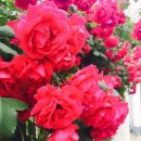 사직2동 주민센터 이미지