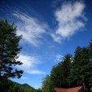 태백고원자연휴양림 이미지