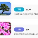 여도초등학교 이미지