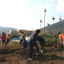 도시정원협동조합 이미지