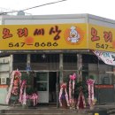 오리세상 이미지