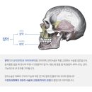서울이엔이치과의원 이미지