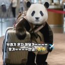 [일상기록] 요즘 푹- 빠져 있는 것들
