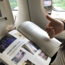 해안로2L | 강릉역 근처 마트 강릉중앙시장 오징어순대: 친구들과 여름 여행지 추천