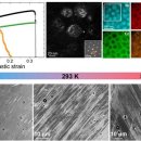 포항공과대학교 친환경소재대학원 이미지