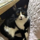 한아름아파트 이미지