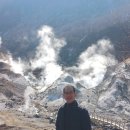 늘, 고운펫 이미지