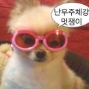 엑스포MTB | 사람들은 다 그래 맛있는 걸 먹을 때와 여름의 바닷가에서는