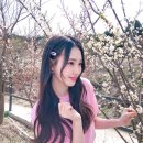 미소조아