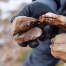 봉화태권도장 이미지